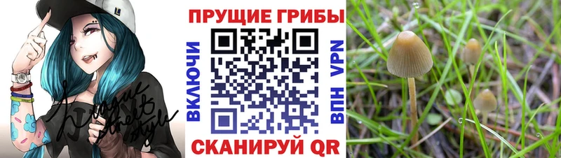 Псилоцибиновые грибы ЛСД  Купить закладки  Байкальск 